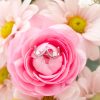Bague Lait Maternel Seins - Image 5