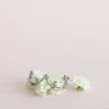 Bague Lait Maternel Seins